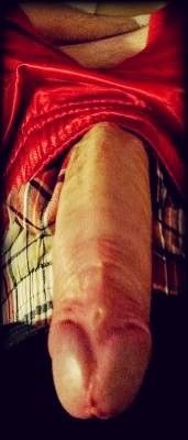 hardon red shorts