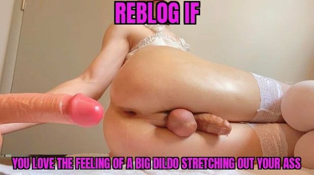 Reblog if