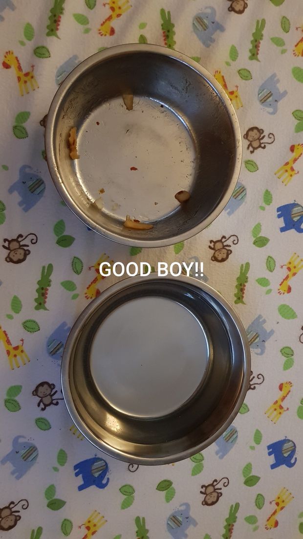 All Gone