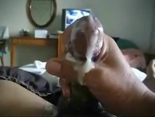 Let me lick it clean daddy