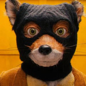 misterfoxcock Foto
