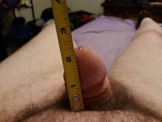 I think I have a micropenis