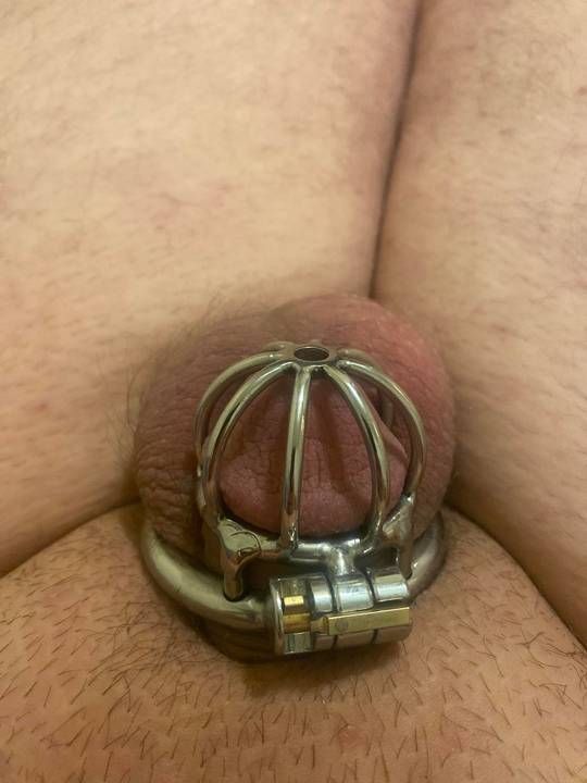 My tiny dick all locked up