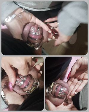 Day 11. Starting the day with a little massage to see how full are the nuts...