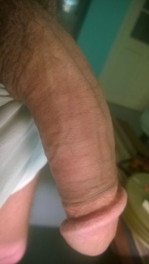 biluvr Picture