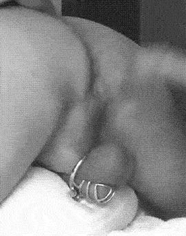 Her bull likes to humiliate me.