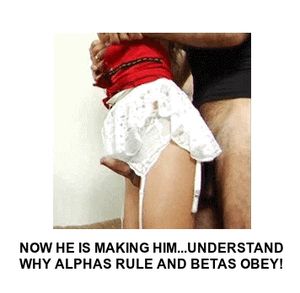 Looks like the new sister is very popular in the neighborhood