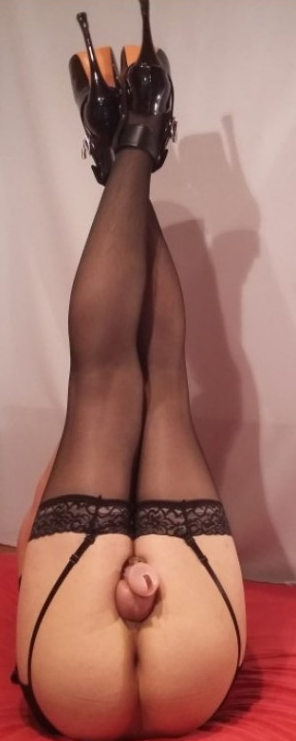 Sissy needs an alpha