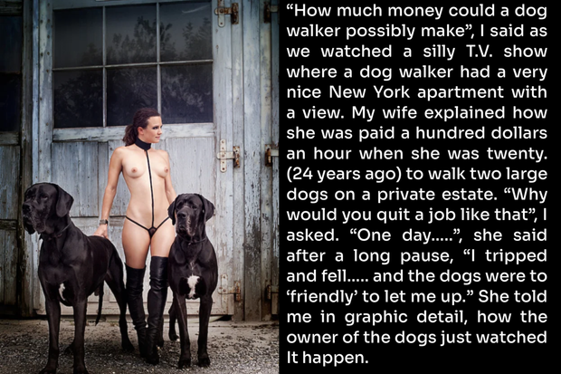 Dog walker
