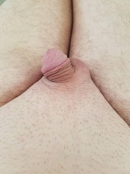 What would you name it
