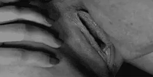 Pussy lick