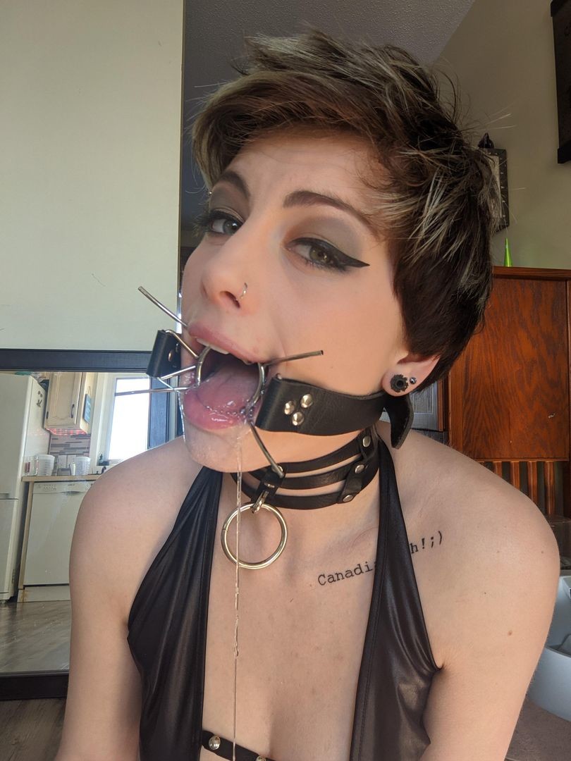 spider gag