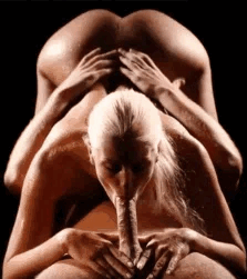 face down ass up