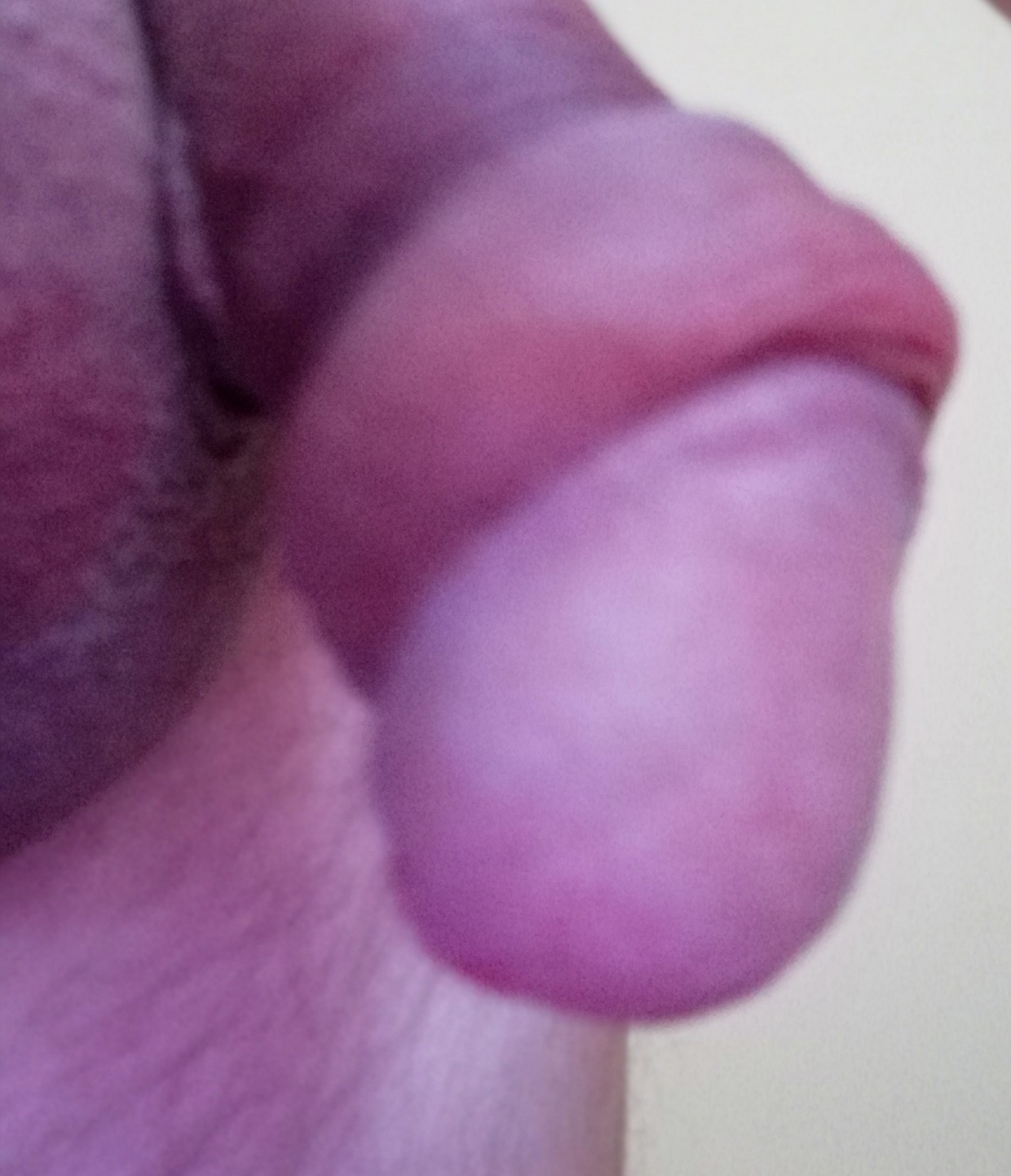 Me dick