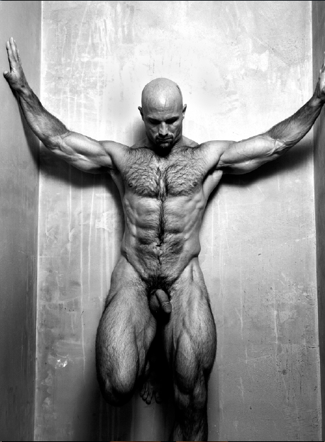 Muscles