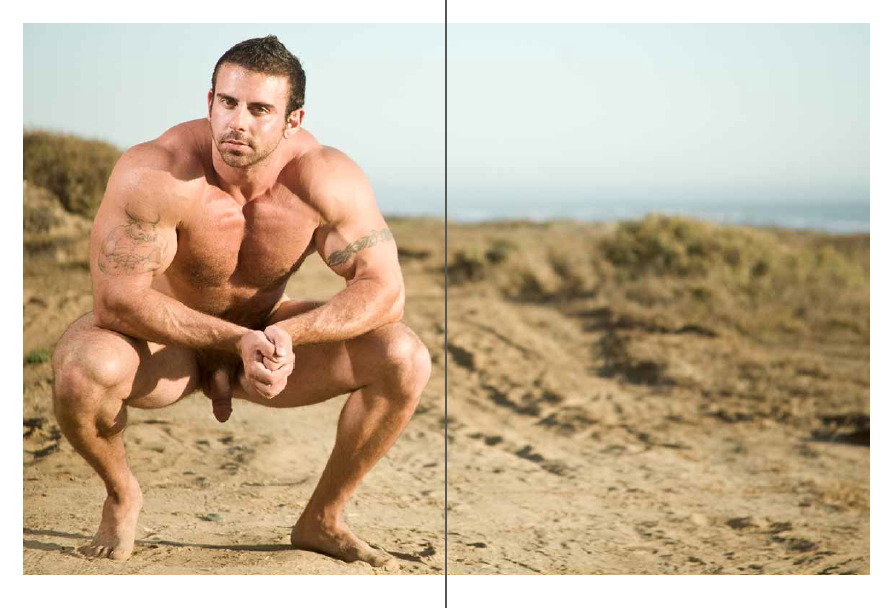 Muscles