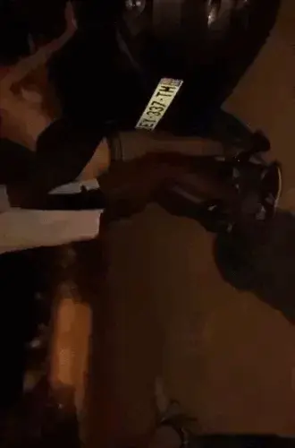 Dogging