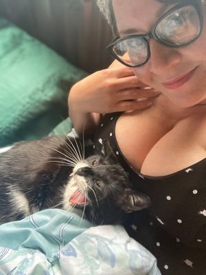 "I may be a cat lady but these tits will make you forget all about it"