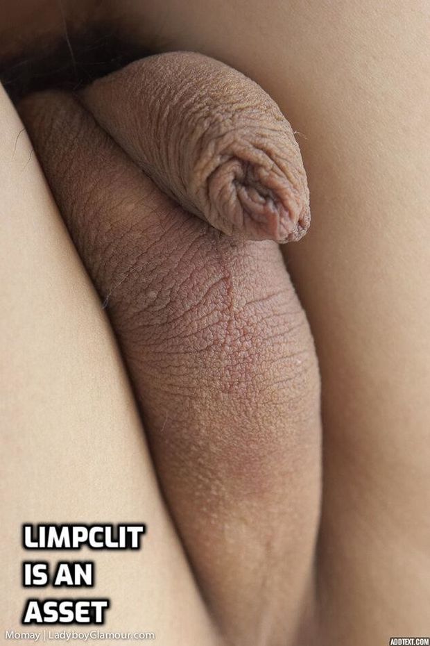 Limp Clit Asset