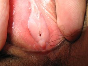 Up-close Tight Pussy