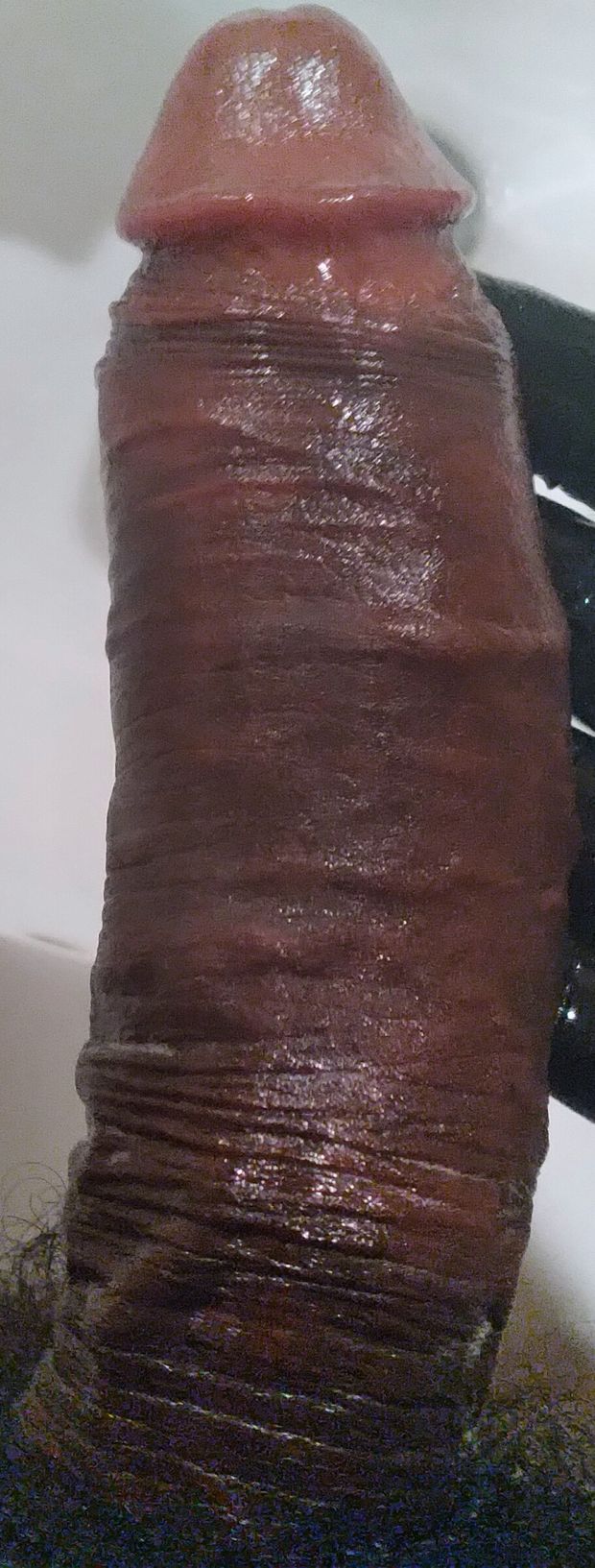 My Erect-Magnificent Penis