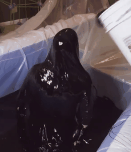 CaPfr MESSY SEX WAM pies Mud Melted Chocolate Gunge Pin 63807629 capfr-messy-sex-wam-pies-mud-melted-chocolate-gunge-pin-63807629