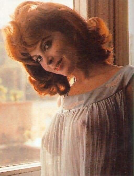 Ginger in see through