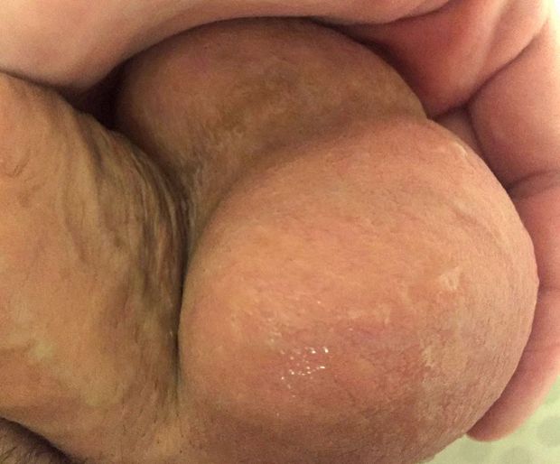Full Milkers
