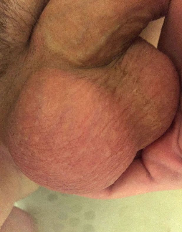 Heavy Milkers