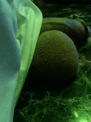 What would you do if I laid my balls on the table for you?