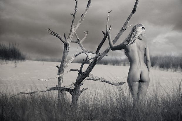 Naked blonde in the desert