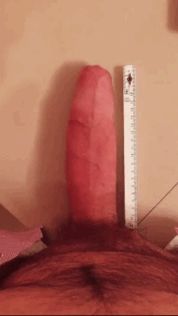 need à bigger ruler