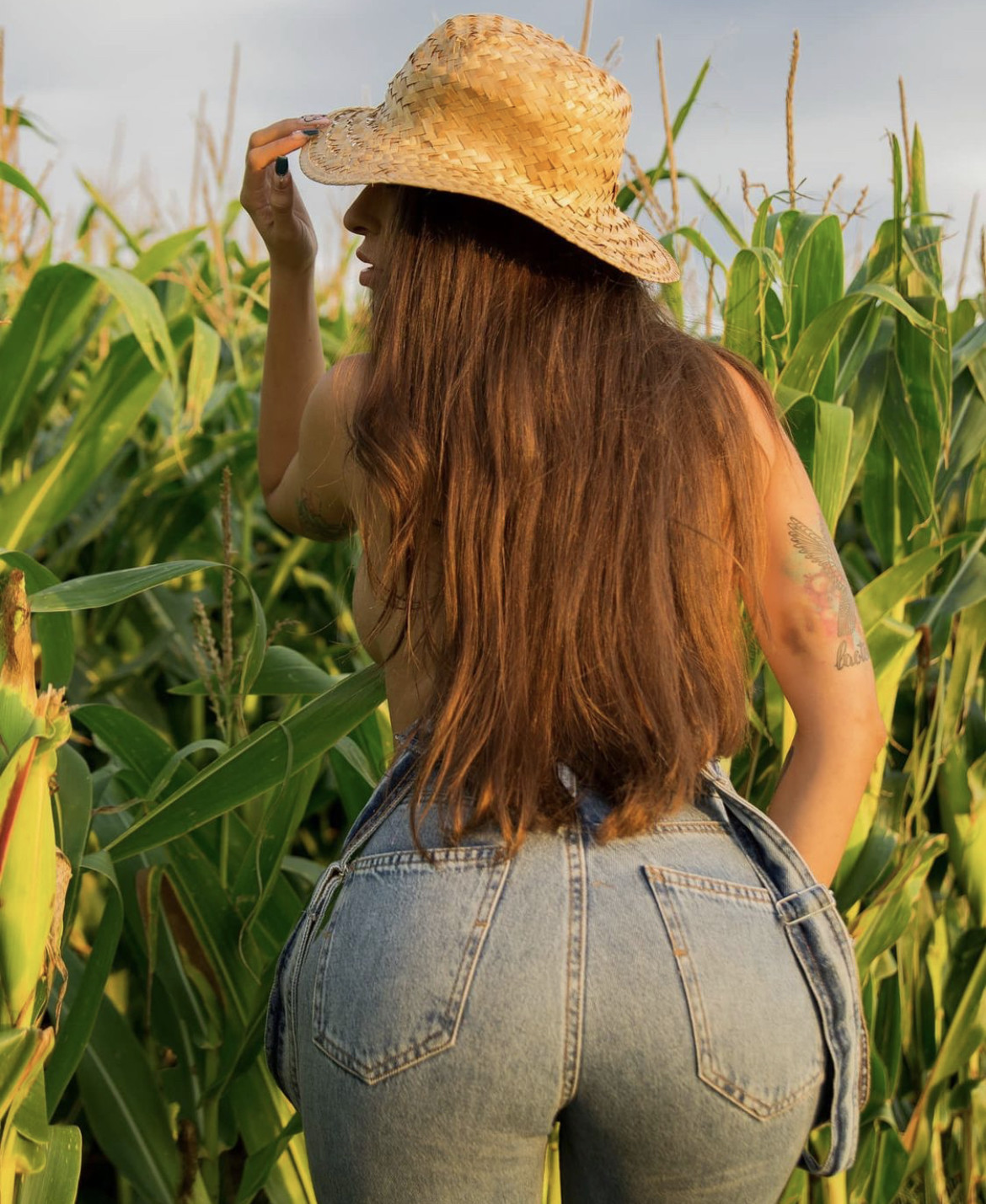 Ass in the field