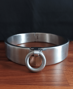 Gorgeous collar! Need.