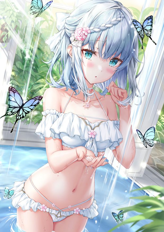 butterfly dream