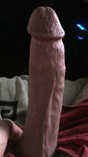 Massive Meaty Penis