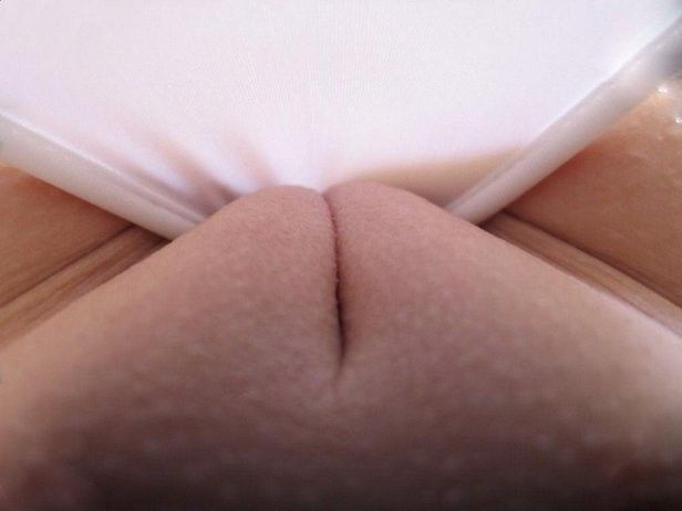 Panties