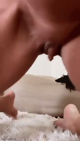 clit