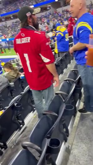 Show 'em if you got 'em...touchdown edition