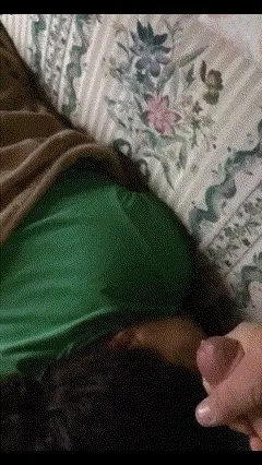 Cum On Couch Sleeper