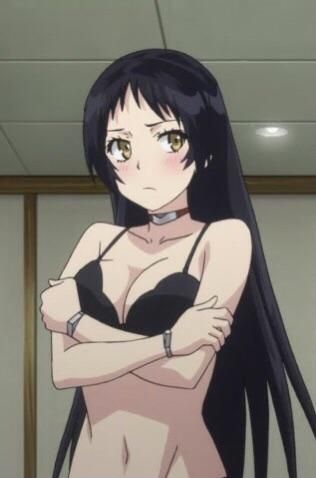 Ayame