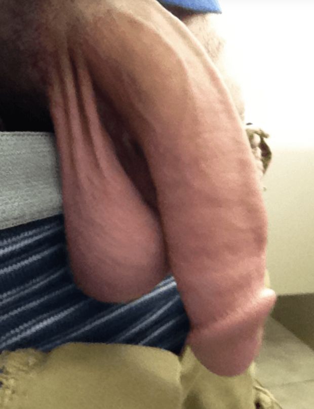 Nice, big limp dick and huge balls