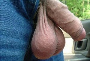 Cock + big balls