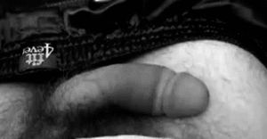 Anatomy of an erection