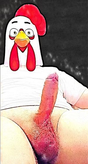 Horny cock