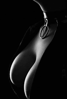 Collar in B&W