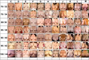 What size is your favorite?