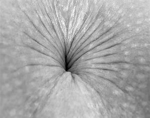 anus