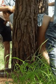 Outdoors fuck and suck