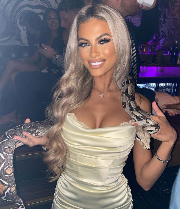 snake